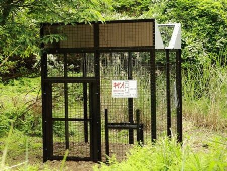 小型＆軽量のカラス捕獲柵！C20