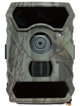 SG-10