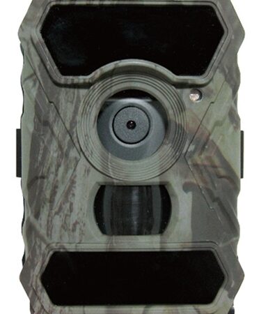 SG-10