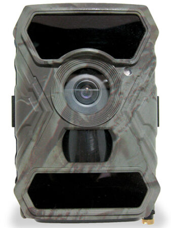 SG-11