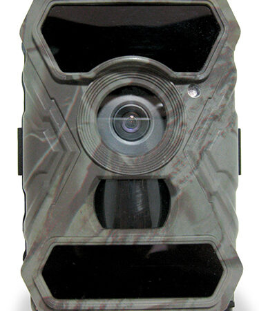 SG-11